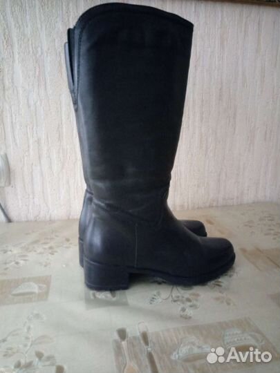 Сапоги женские