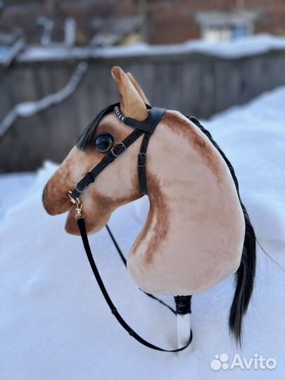 Хобби хорсинг