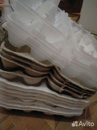 Упаковка от яиц