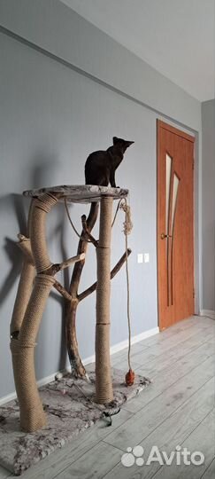 Когтеточка для кошек