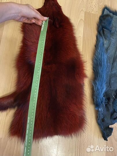 Писец шкурка