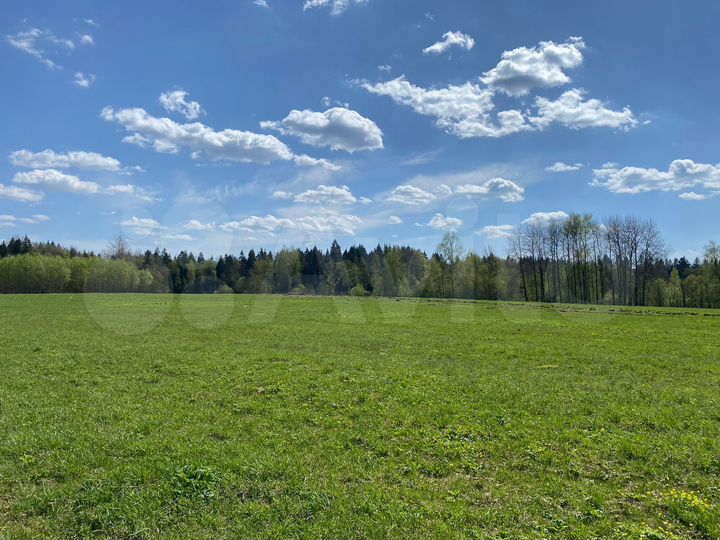 Участок 100 сот. (ИЖС)