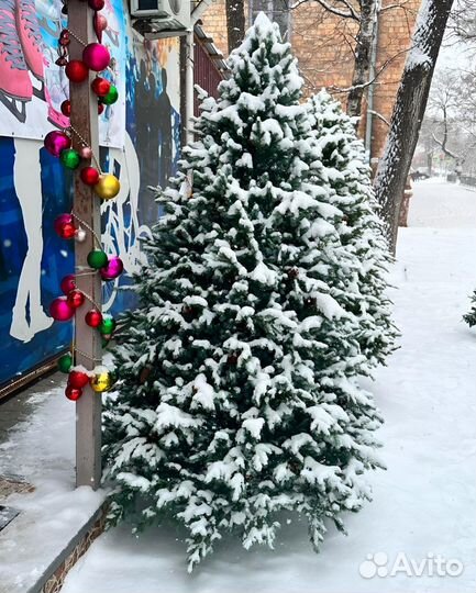 Елка искусственная литая и комбо 120-210