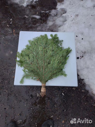 Пихтовые веники для бани