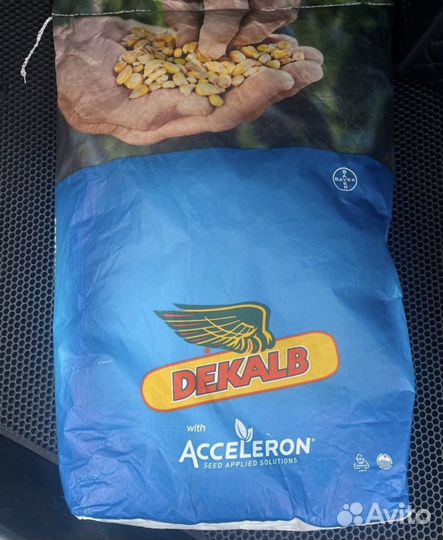 Семена кукурузы дкс
