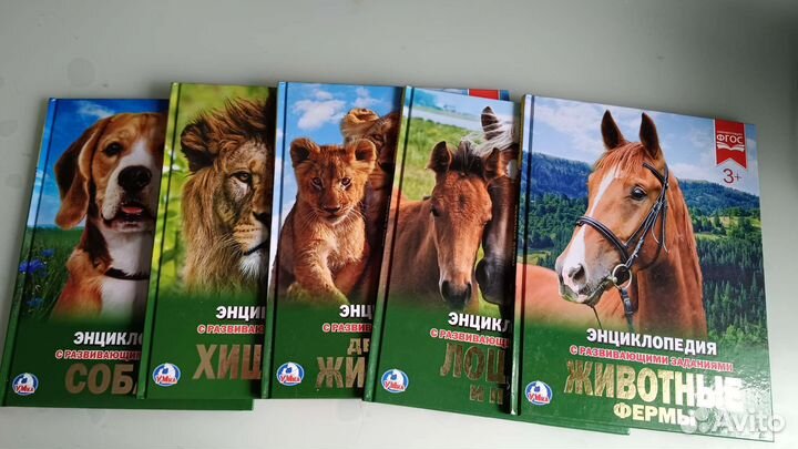 Энциклопедия с развивающ.заданиями 5 шт новые