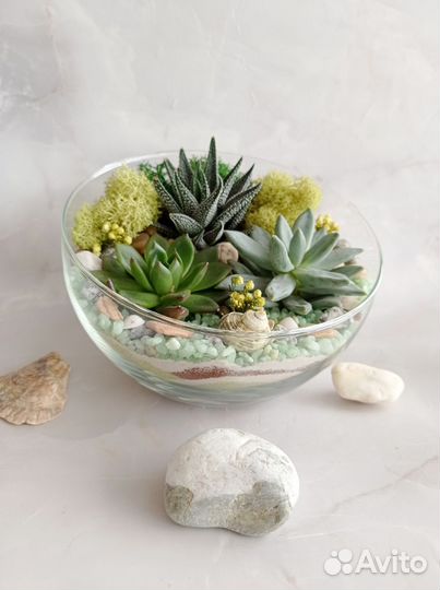 Флорариум в полусфере