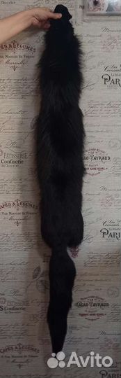 Чулок чернобурой Лисы (шкурка)