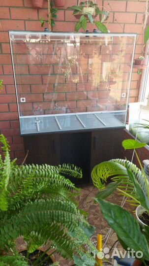 Террариумы