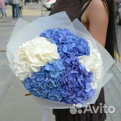 Букет гортензии с доставкой 5 гортензий