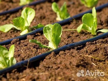 Капельная лента щелевая для полива растений