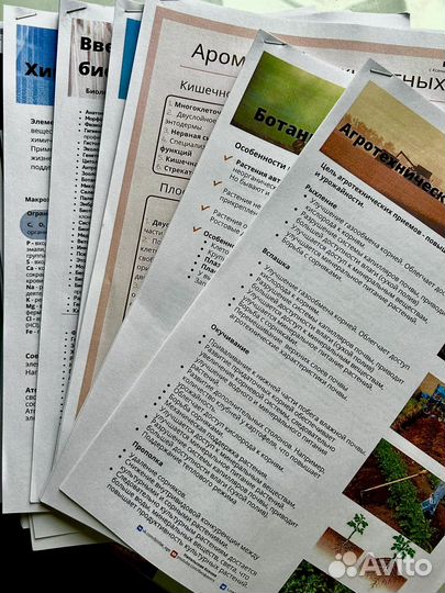 Конспекты по биологии ЕГЭ