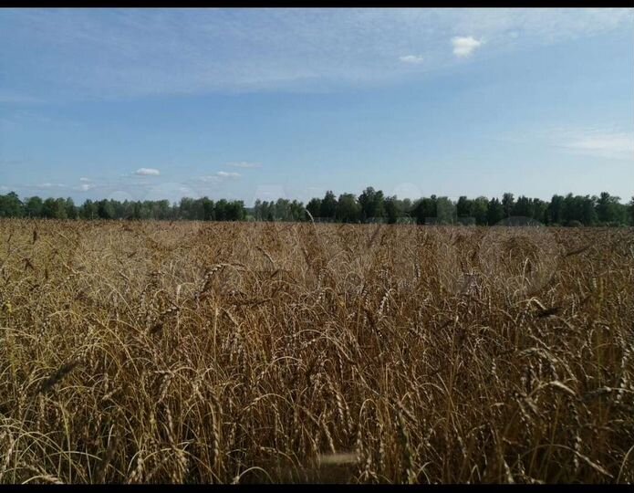 Участок 18 га (СНТ, ДНП)