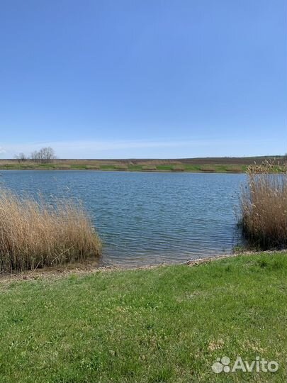 Дальний кордон