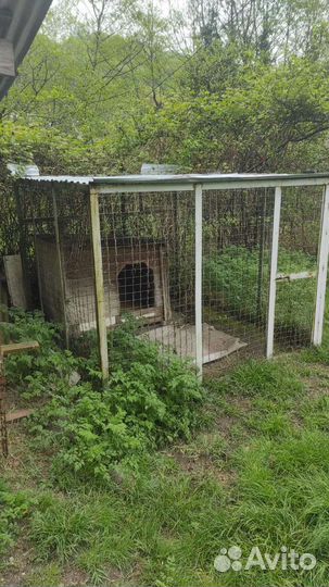 Клетка вольер для собак
