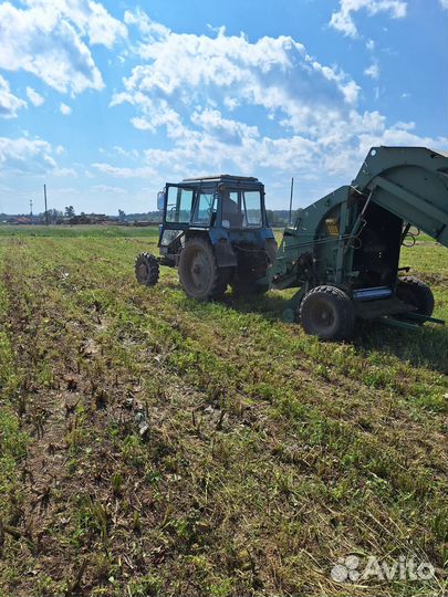 Сено в брикетах