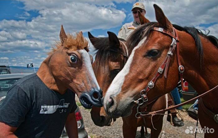 Прикольные маски для вечеринок и просто веселья