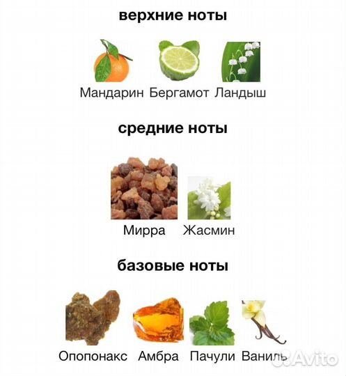 YSL Opium Eau de Parfum 2009 Yves Saint Laurent