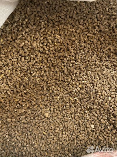 Комбикорм для несушек Боево