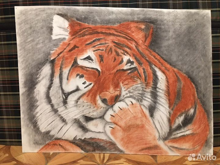 Тигр. Картина. Бумага. Уголь. Сангина-Сепия. 62х47