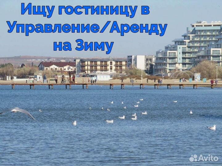 Ищу гостевой дом в Управление и Аренду