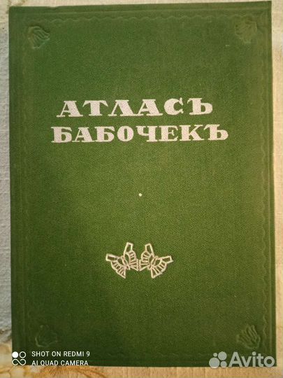 Маленький Атлас бабочек 1913 года