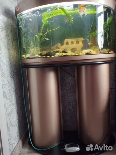 Аквариум с тумбой бу
