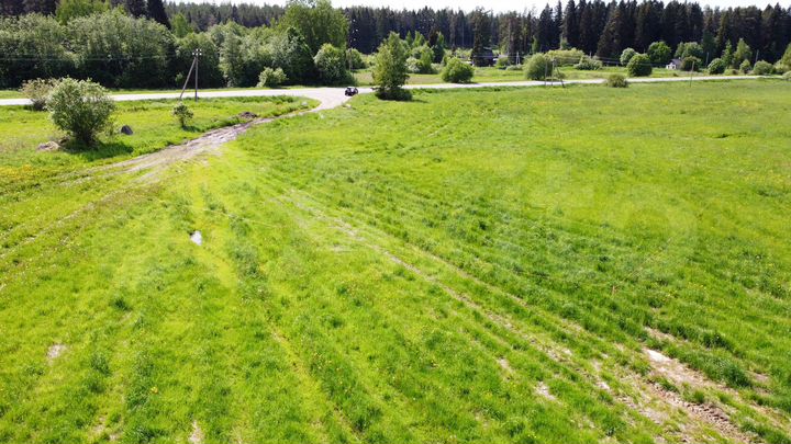 Участок 8,1 сот. (СНТ, ДНП)