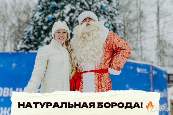 Дед Мороз и Снегурочка / Новогодние шоу-программы