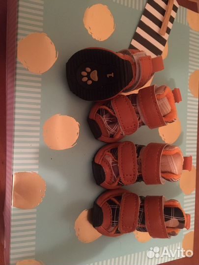 Обувь для собак