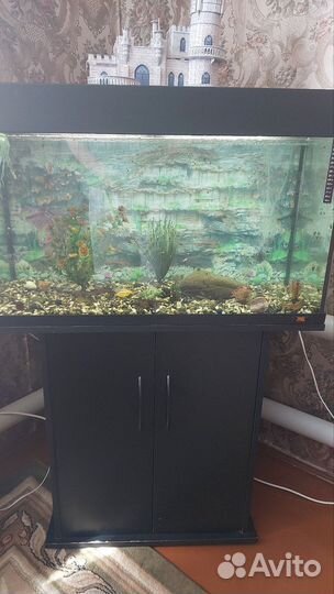 Аквариум с тумбой 120 литров