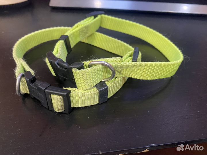 Ошейник бесплатно