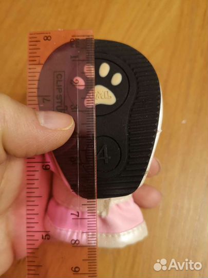 Обувь для собак