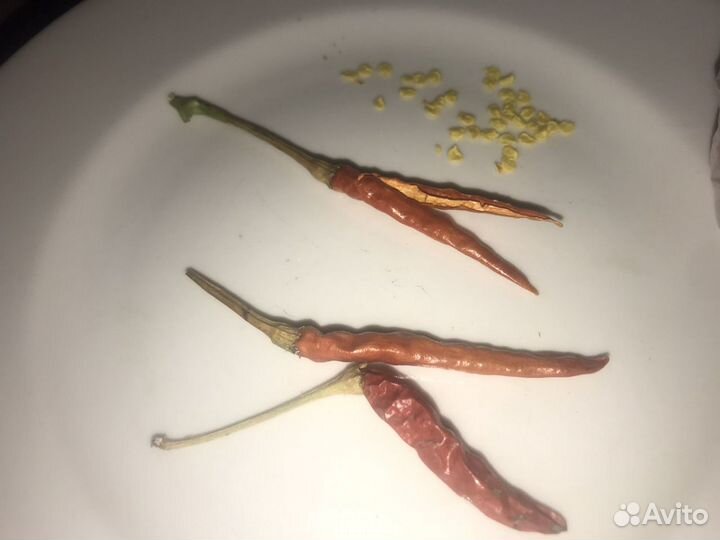 Горький перец мини (семена)