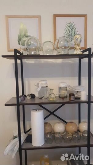 Купон на гирудотерапию