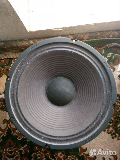 Гитарный динамик Randal SP-TB10