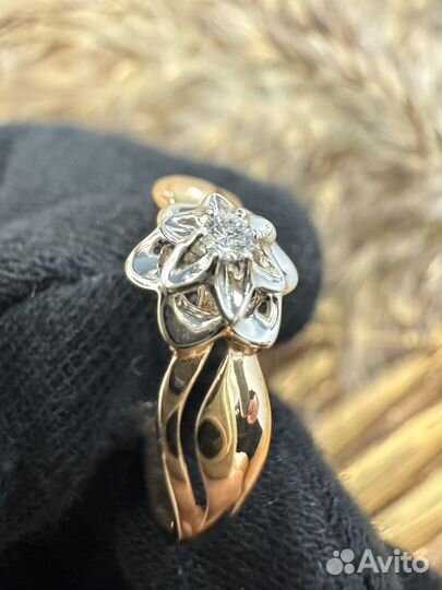 Золотое кольцо