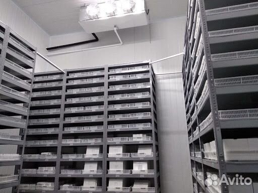 Холодильная камера промышленная