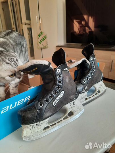 Хоккейные коньки bauer