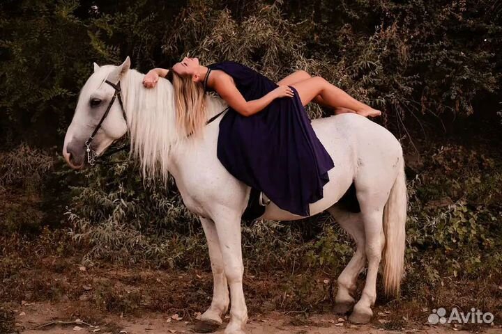 Прогулки на лошадях, аренда лошадей/пони