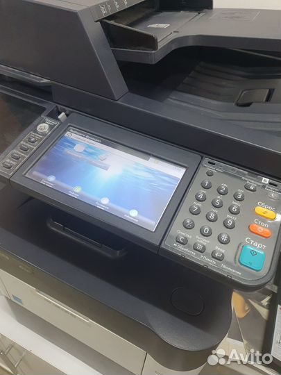 Принтер, мфу