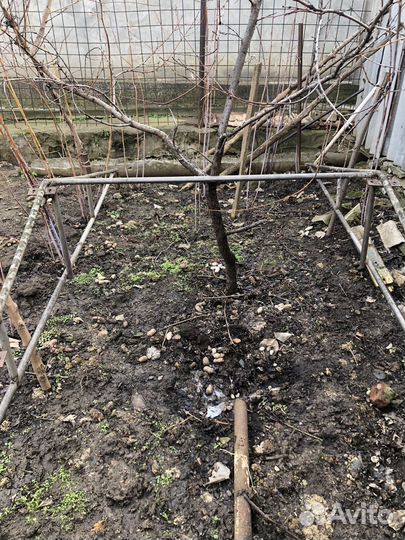 Каркас теплицы бу