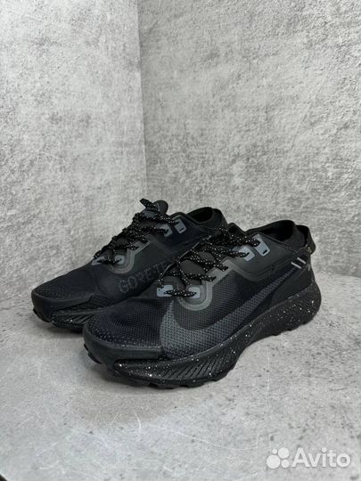 Кроссовки Nike Pegasus Trail 2 Gore-Tex