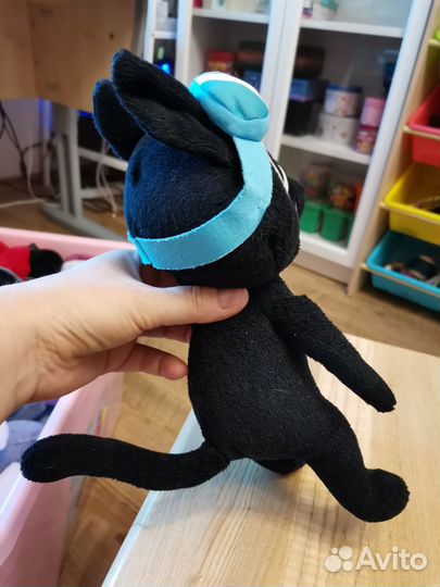 Кот в очках с рюкзачком