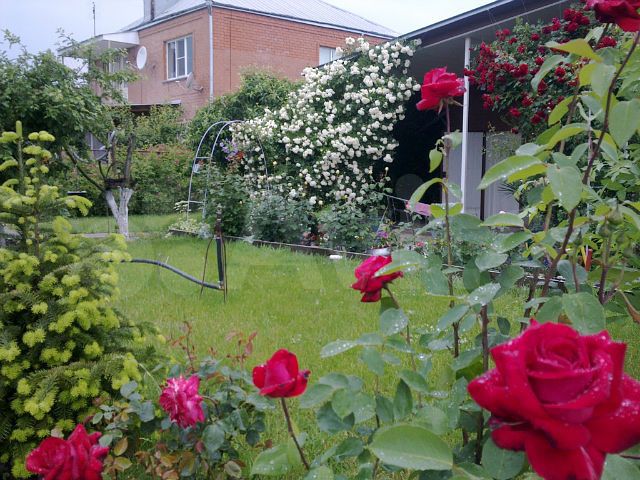 Дом 240 м² на участке 10 сот.