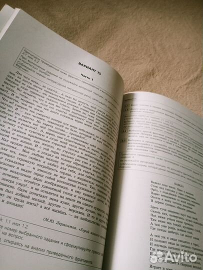 Тренировочные варианты огэ по литературе