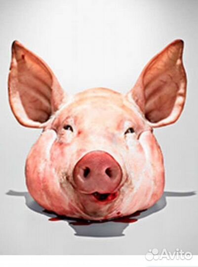 Корм для собак. Цена указана за штуку