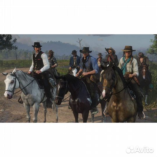Red dead redemption 2 ps4 диск