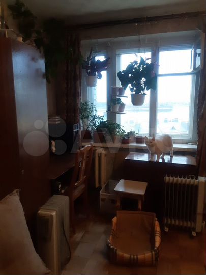 Комната 20 м² в 8-к., 10/12 эт.