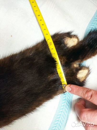 Мех норки шкурки